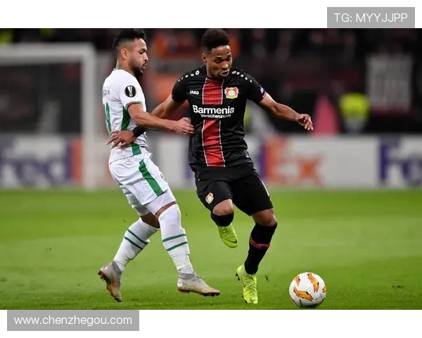 欧冠赛场上表现出色的德甲球队总结