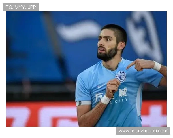 法甲外援市场适应性研究及其对球队竞争力的影响