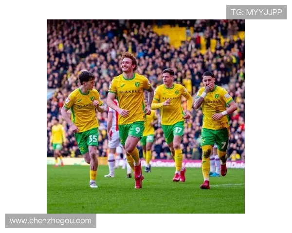 多伦多与诺维奇达成协议2700万美元签下美国前锋萨金特